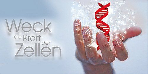 Bild Nr.6 zum Thema: Willkommen